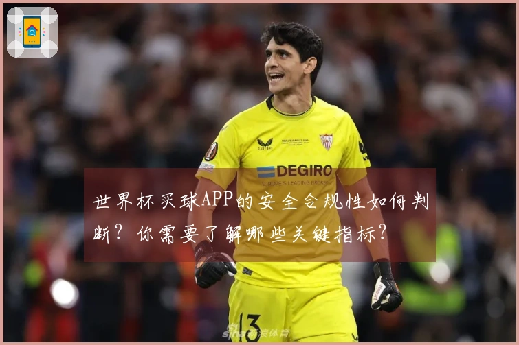 世界杯买球APP的安全合规性如何判断？你需要了解哪些关键指标？