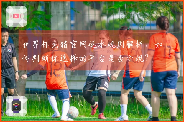 世界杯竞猜官网返水规则解析，如何判断你选择的平台是否合规？