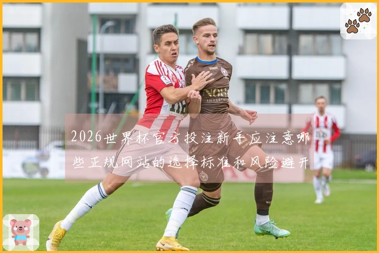 2026世界杯官方投注新手应注意哪些正规网站的选择标准和风险避开技巧