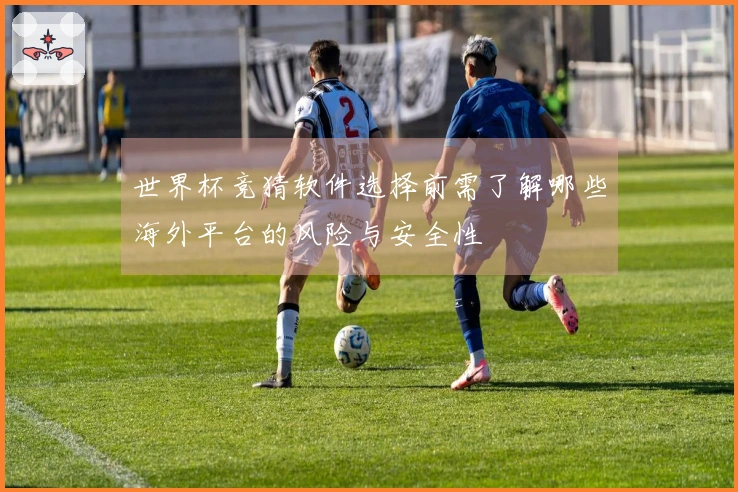 世界杯竞猜软件选择前需了解哪些海外平台的风险与安全性