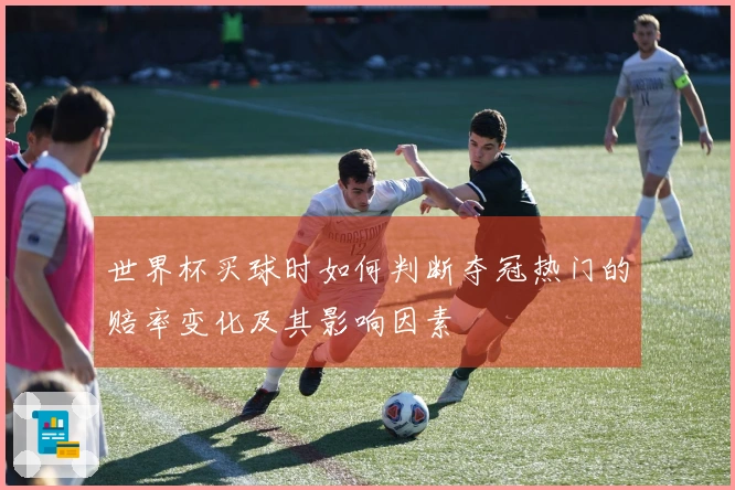 世界杯买球时如何判断夺冠热门的赔率变化及其影响因素