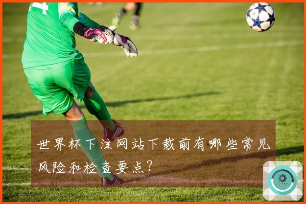 世界杯下注网站下载前有哪些常见风险和检查要点？