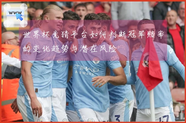 世界杯竞猜平台如何判断冠军赔率的变化趋势与潜在风险