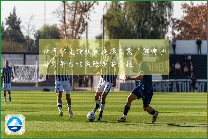 世界杯竞猜软件选择前需了解哪些海外平台的风险与安全性