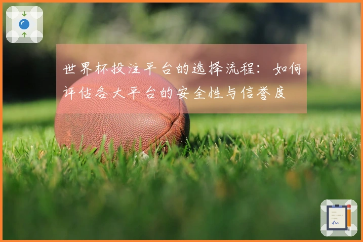 世界杯投注平台的选择流程：如何评估各大平台的安全性与信誉度