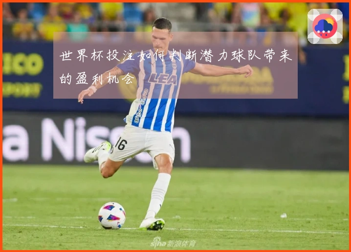 世界杯投注如何判断潜力球队带来的盈利机会