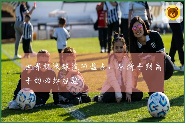 世界杯滚球技巧盘点，从新手到高手的必知经验