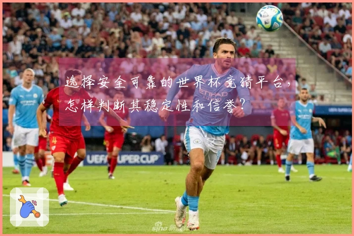 选择安全可靠的世界杯竞猜平台，怎样判断其稳定性和信誉？