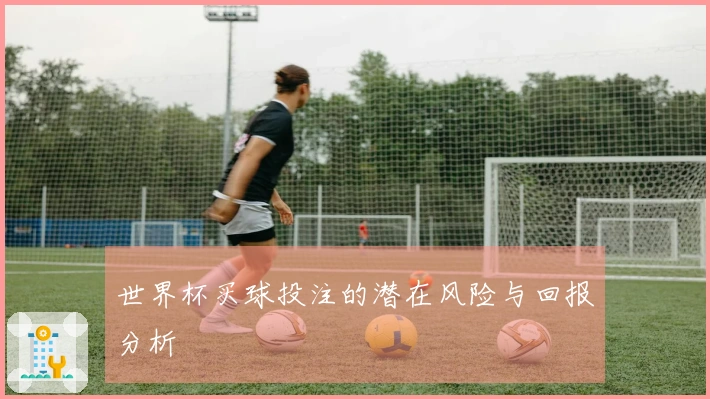 世界杯买球投注的潜在风险与回报分析