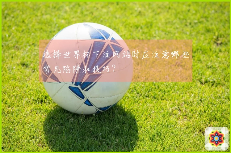 选择世界杯下注网站时应注意哪些常见陷阱和技巧？