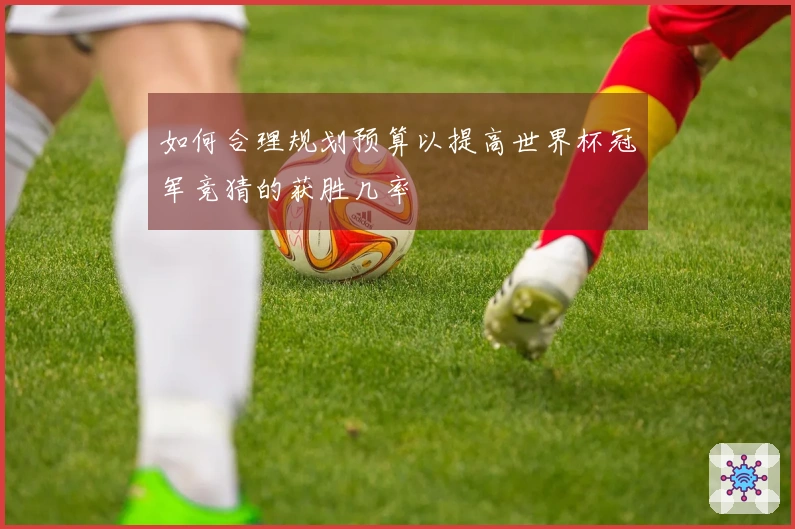 如何合理规划预算以提高世界杯冠军竞猜的获胜几率