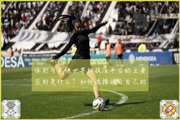 体彩与其他世界杯投注平台的主要区别是什么？如何选择适合自己的平台？