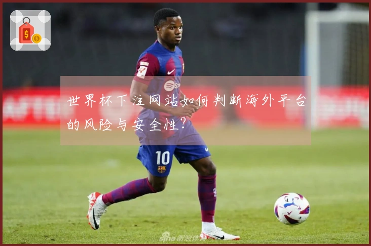 世界杯下注网站如何判断海外平台的风险与安全性？