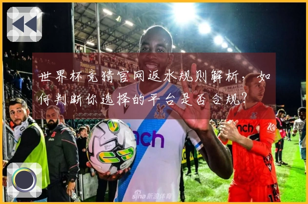 世界杯竞猜官网返水规则解析，如何判断你选择的平台是否合规？