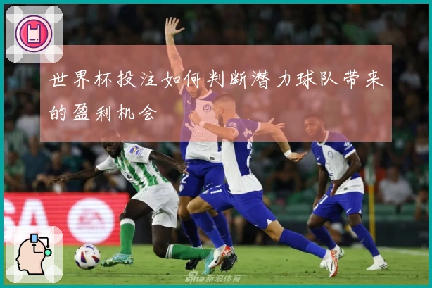 世界杯投注如何判断潜力球队带来的盈利机会