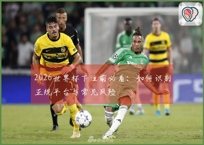 2026世界杯下注前必看：如何识别正规平台与常见风险