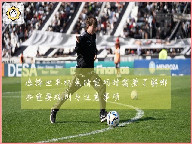 选择世界杯竞猜官网时需要了解哪些重要规则与注意事项