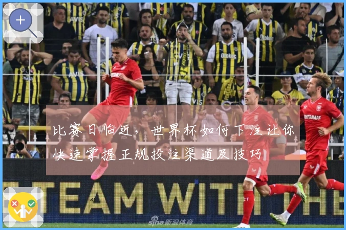 比赛日临近，世界杯如何下注让你快速掌握正规投注渠道及技巧