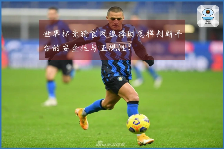 世界杯竞猜官网选择时怎样判断平台的安全性与正规性？