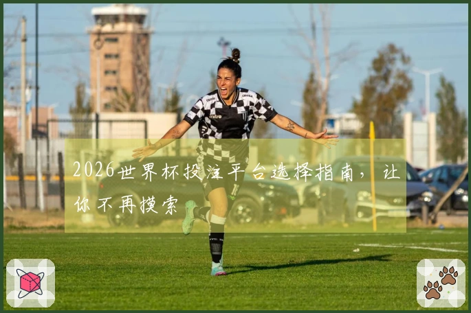 2026世界杯投注平台选择指南，让你不再摸索