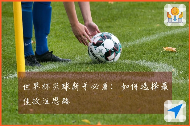 世界杯买球新手必看：如何选择最佳投注思路
