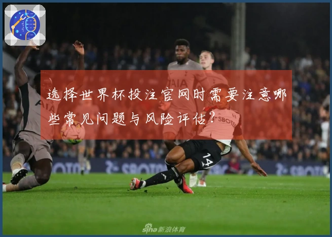 选择世界杯投注官网时需要注意哪些常见问题与风险评估？